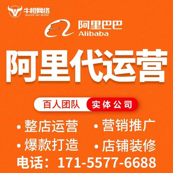 瑞安电商代运营