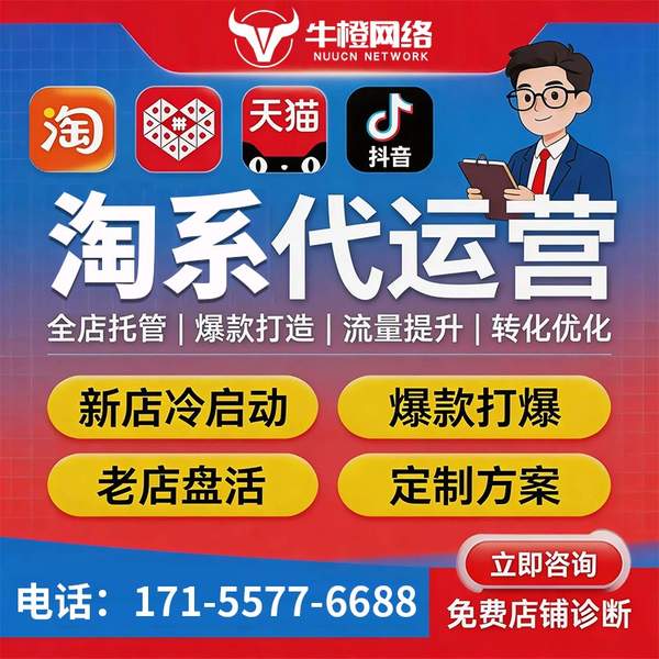 瑞安电商代运营