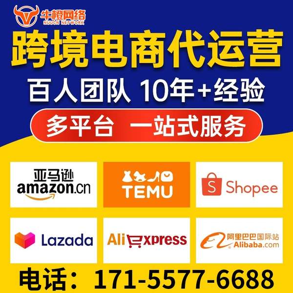 瑞安电商代运营