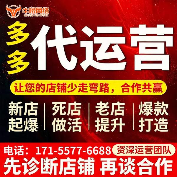 瑞安电商代运营