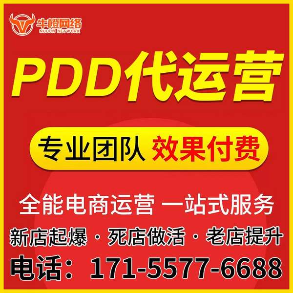 瑞安电商代运营