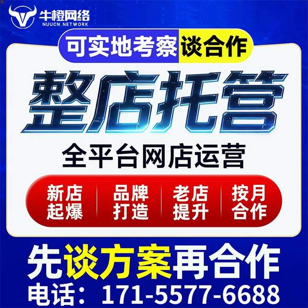 瑞安电商代运营
