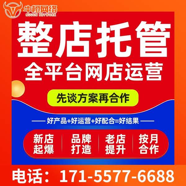 瑞安电商代运营