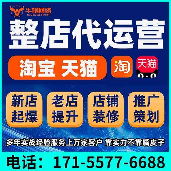 瑞安电商代运营