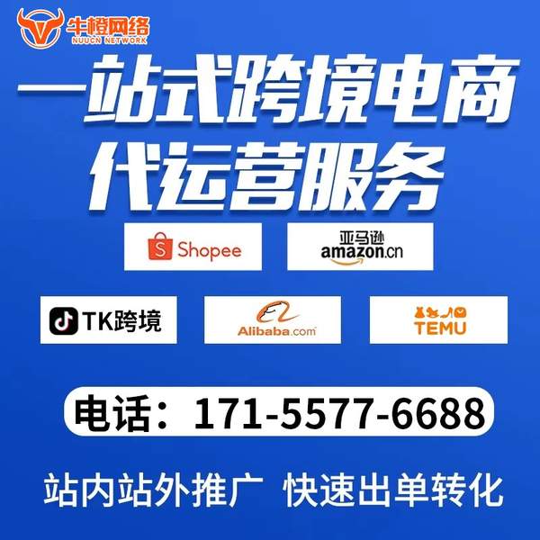 瑞安电商代运营