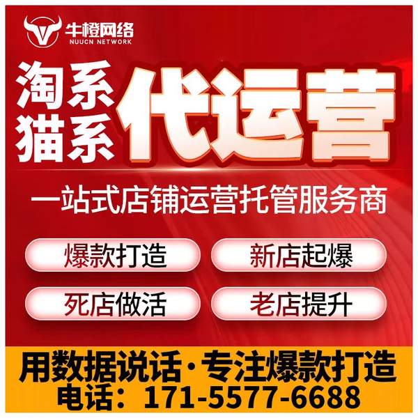 瑞安电商代运营